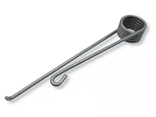 Пружина__ROTAK 34...43 / AdvancedRotak 660 (F016L66165) купить в сервисном центре Технопрофиль